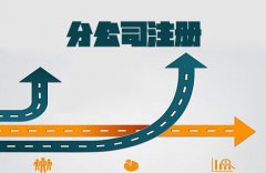 在苏州有限公司如何注册分公司?